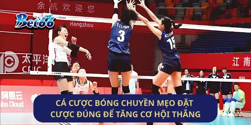 Cá Cược Bóng Chuyền Mẹo Đặt Cược Đúng Để Tăng Cơ Hội Thắng