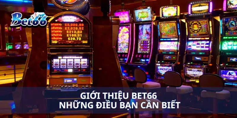 Giới thiệu Bet66 những điều bạn cần biết