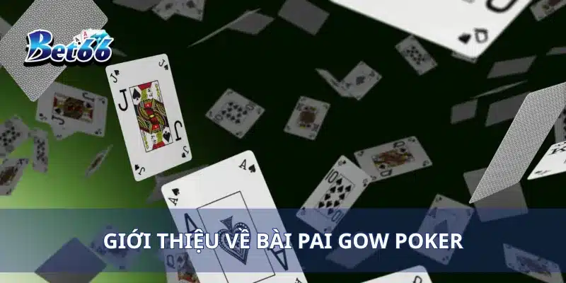 Pai Gow Poker Tìm Hiểu Cách Chơi Và Đạt Chiến Thắng Khủng 2 Giới thiệu về bài Pai Gow Poker