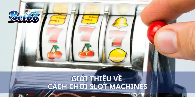 Giới thiệu về cách chơi slot Machines