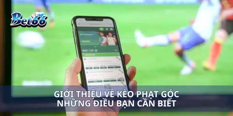 Giới thiệu về kèo phạt góc những điều bạn cần biết