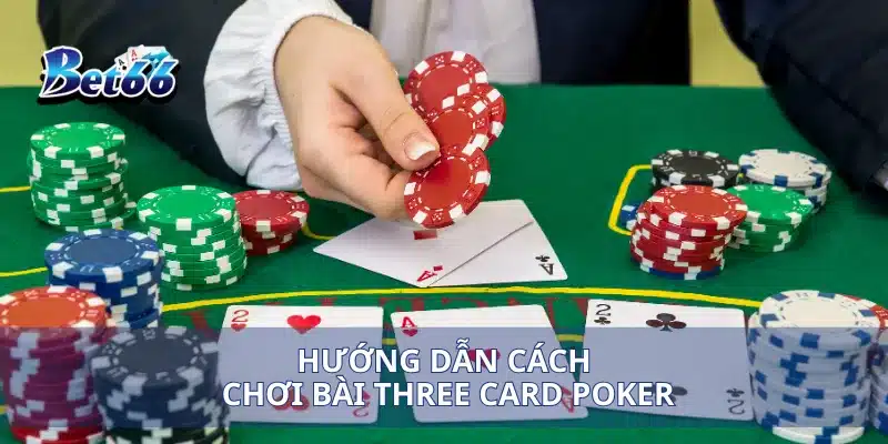 Chơi Bài Three Card Poker Mẹo Thắng Lớn Bạn Không Thể Bỏ Qua 3 Hướng dẫn cách chơi bài Three Card Poker