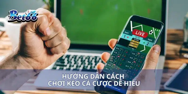 Kèo Thua Một Nửa Làm Sao Để Tối Đa Hóa Lợi Nhuận Khi Chơi? 3 Hướng dẫn cách chơi kèo cá cược dễ hiểu