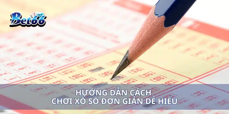 Hướng dẫn cách chơi xổ số đơn giản dễ hiểu