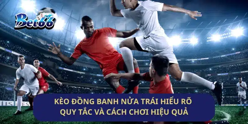 Kèo Đồng Banh Nửa Trái Hiểu Rõ Quy Tắc Và Cách Chơi Hiệu Quả