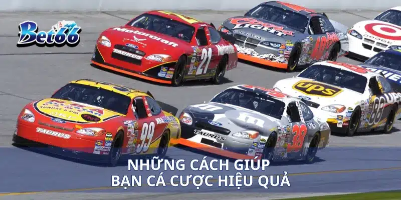 Những cách giúp bạn cá cược hiệu quả