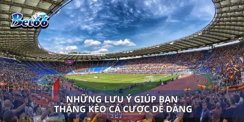 Kèo Thua Một Nửa Làm Sao Để Tối Đa Hóa Lợi Nhuận Khi Chơi? 4 Những lưu ý giúp bạn thắng kèo cá cược dễ dàng