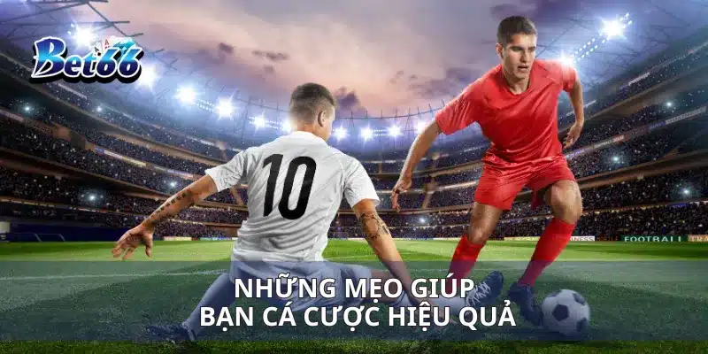 Những mẹo giúp bạn cá cược hiệu quả
