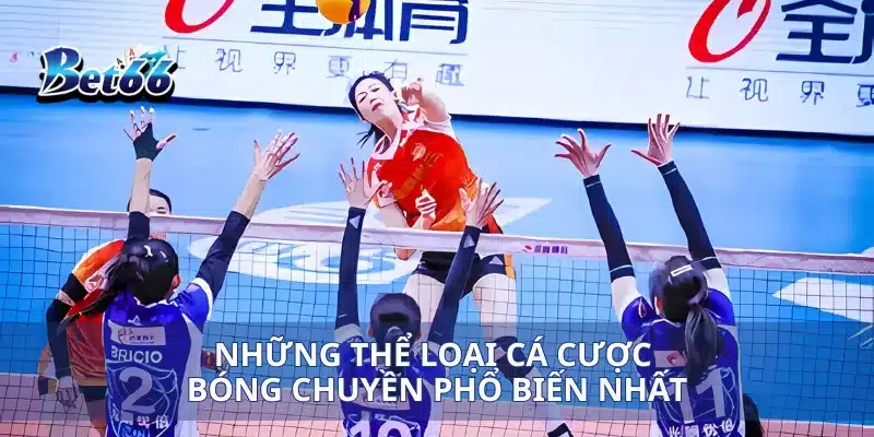 Những thể loại cá cược bóng chuyền phổ biến nhất