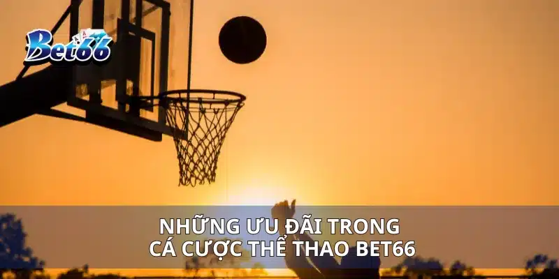 Những ưu đãi trong cá cược thể thao Bet66