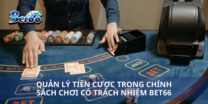 Quản lý tiền cược trong chính sách chơi có trách nhiệm Bet66