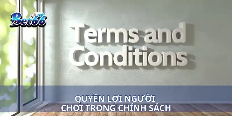 Quyền lợi người chơi trong chính sách